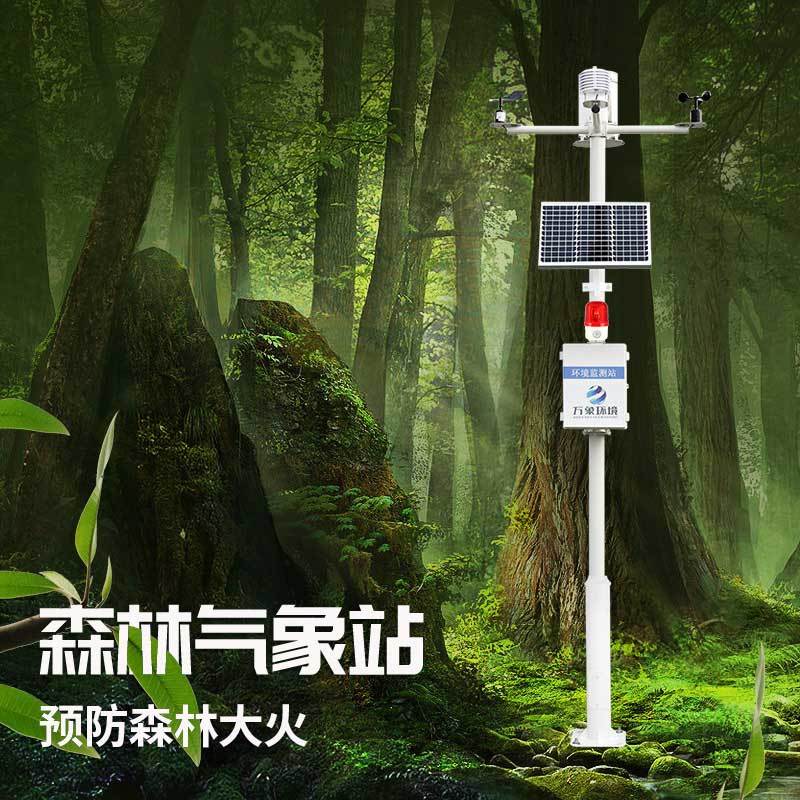 森林防火監(jiān)測系統(tǒng)為保護森林做了哪些努力？